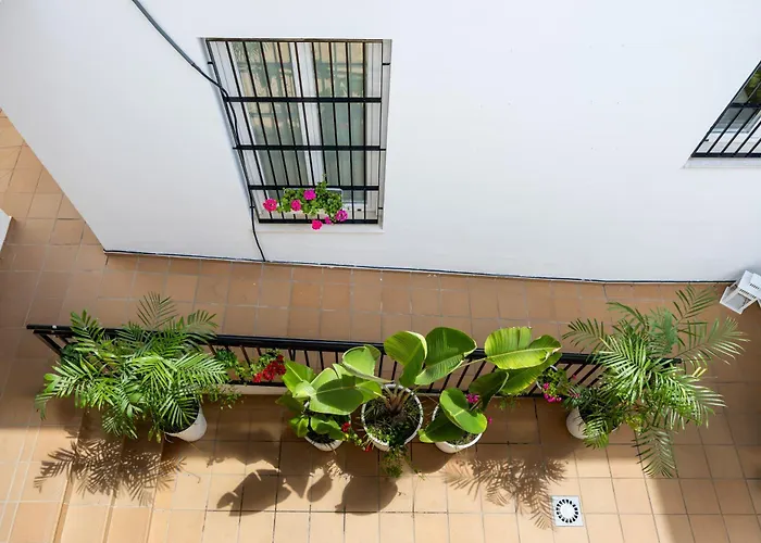 Brisa Jerez * Jerez de la Frontera